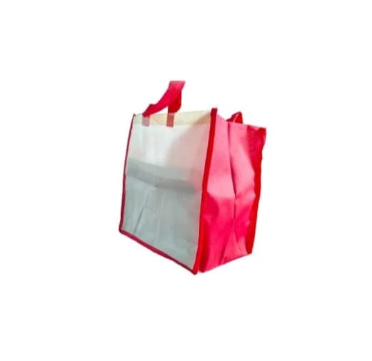 Non Woven Carry Bag